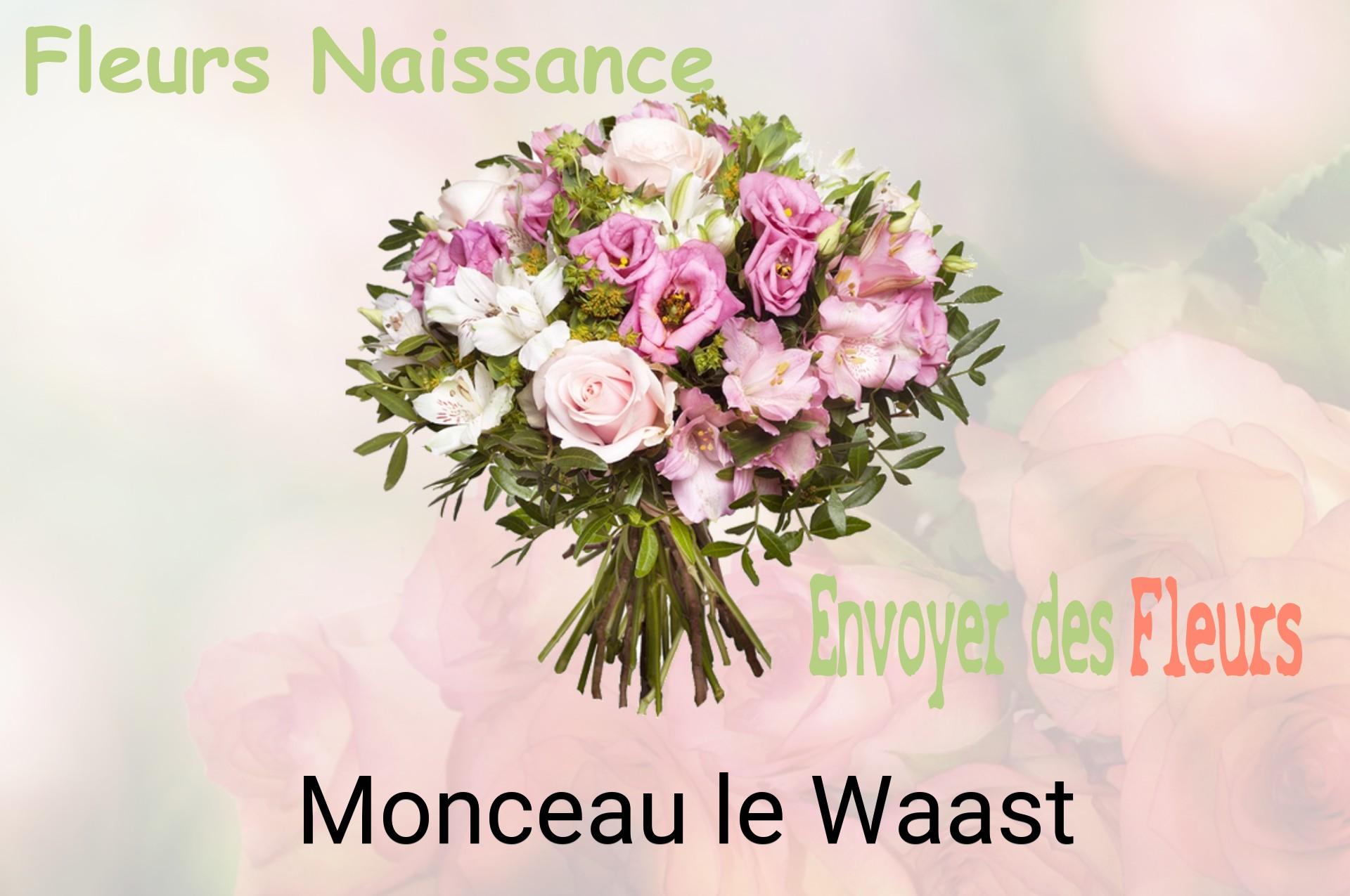 Bouquet de fleurs de naissance livré à Monceau-le-Waast
